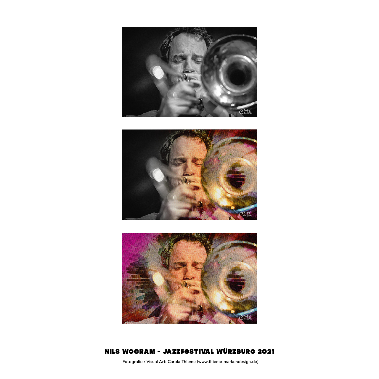 Jazz Konzertfotografie Kunstprojekt Carola Thieme Jazzinitiative Würzburg